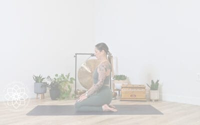 Finding The Best Online Hatha Yoga Teacher Training