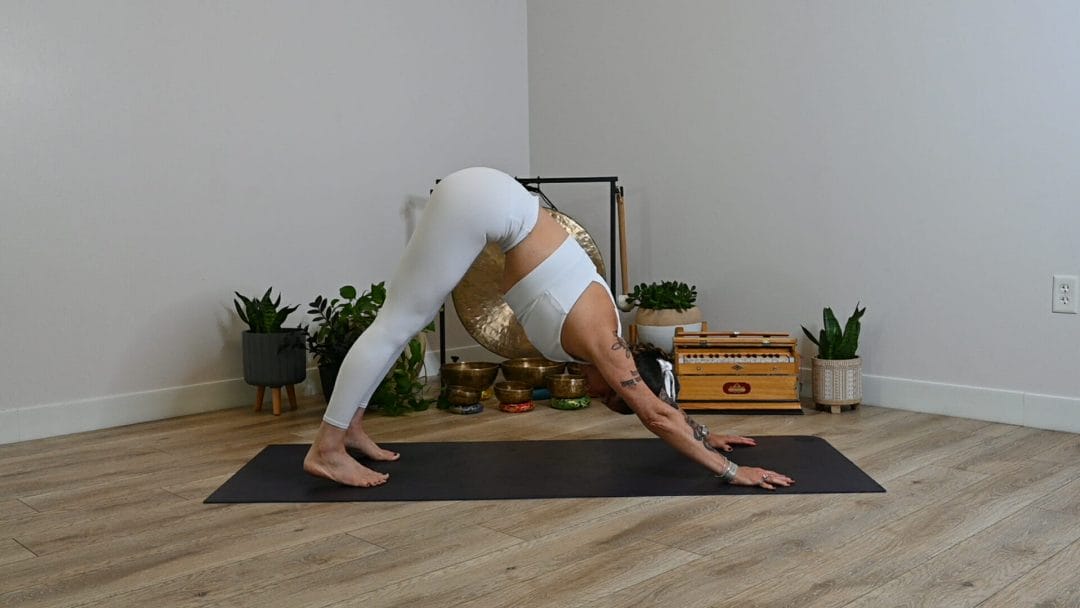 Michelle Young in white ALO in downward facing dog