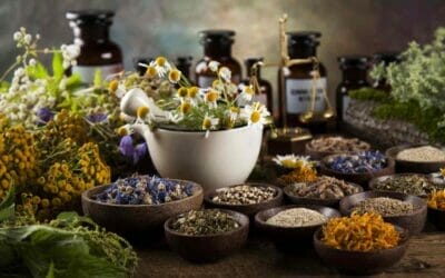 Understanding Ayurvedic Medicine