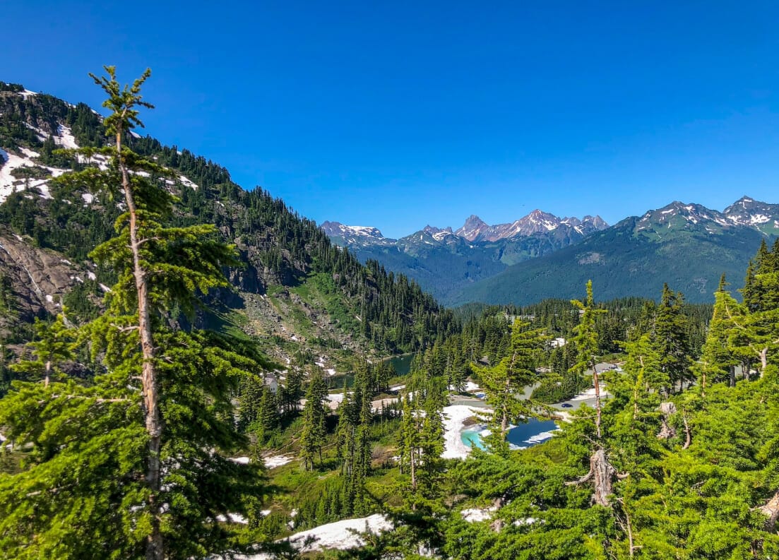 The landscape of the mountains in Seattle. There are tall trees and water visible.