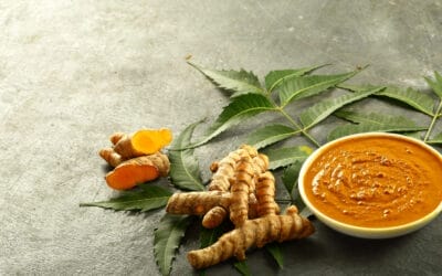  Ayurvedic Food Combining for Healthier Celebrations