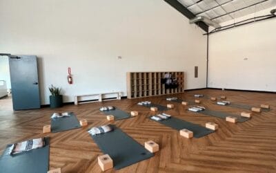 Donation Based Yoga In Austin, TX